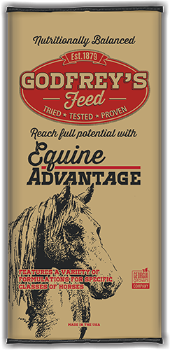 Equine Feed Bag